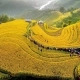 Tạp chí Anh gợi ý Việt Nam là điểm đến tháng 3